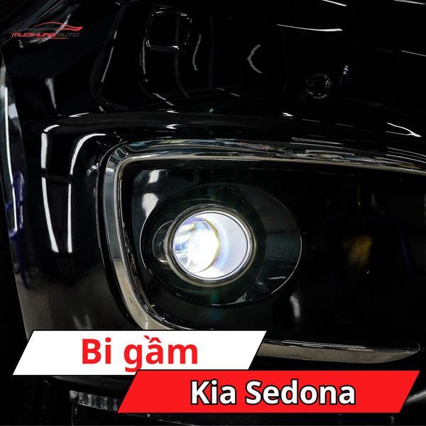 Bi Gầm Kia Sedona