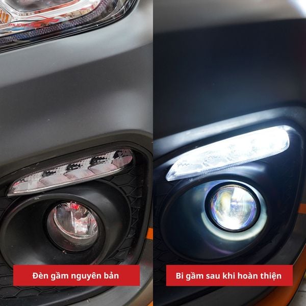 Bi Gầm Suzuki Ertiga