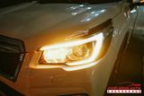 Độ Đèn LED Mí Cho Xe Subaru Forester Chính Hãng