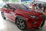 Nẹp Sườn Xe Lexus RX350 Cao Cấp