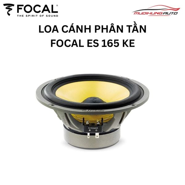 Loa Cánh Phân Tần Focal ES 165 KE