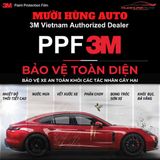 Dán PPF 3M Ô Tô 5 Chỗ