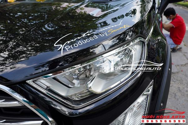 Tổng Hợp Các Món Phụ Kiện Trang Trí Siêu Đẹp Cho Ford Ecosport