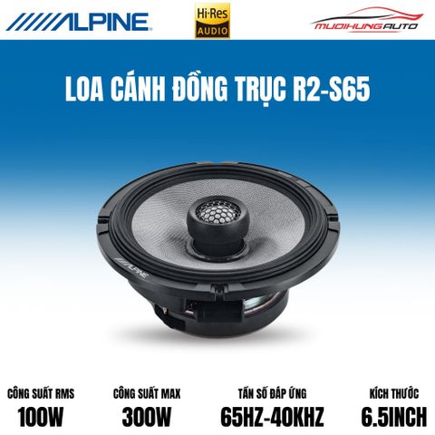 Loa cánh đồng trục Alpine R2-S65