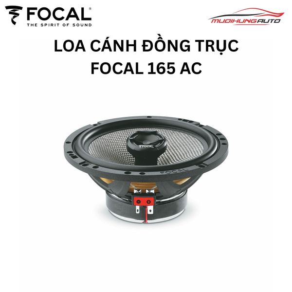 Loa Cánh Đồng Trục Focal 165 AC