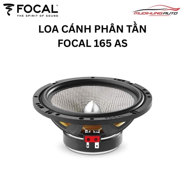 Loa Cánh Phân Tần Focal 165 AS
