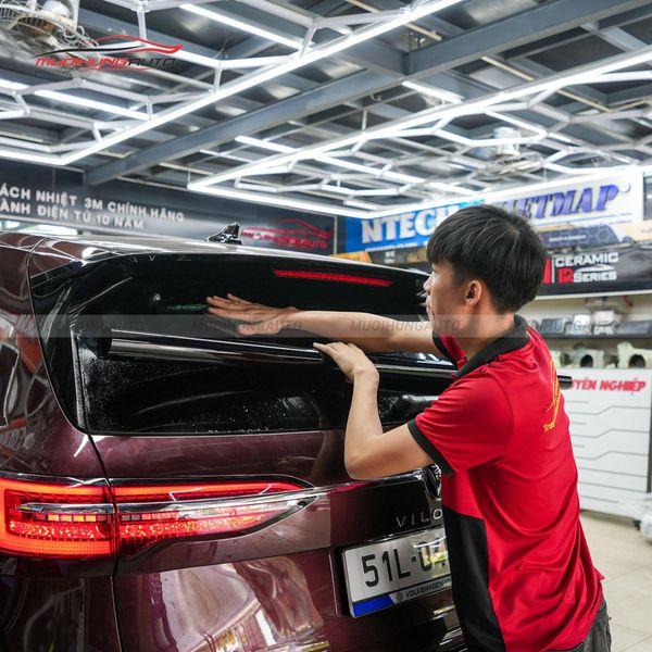 Dán Phim Cách Nhiệt 3M Ô Tô Volkswagen Viloran 2024