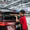 Dán Phim Cách Nhiệt 3M Ô Tô Volkswagen Viloran 2024