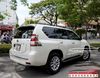 Gắn Ốp Nẹp Hông Trang Trí Xe Toyota Land Cruiser 2021 Giá Rẻ