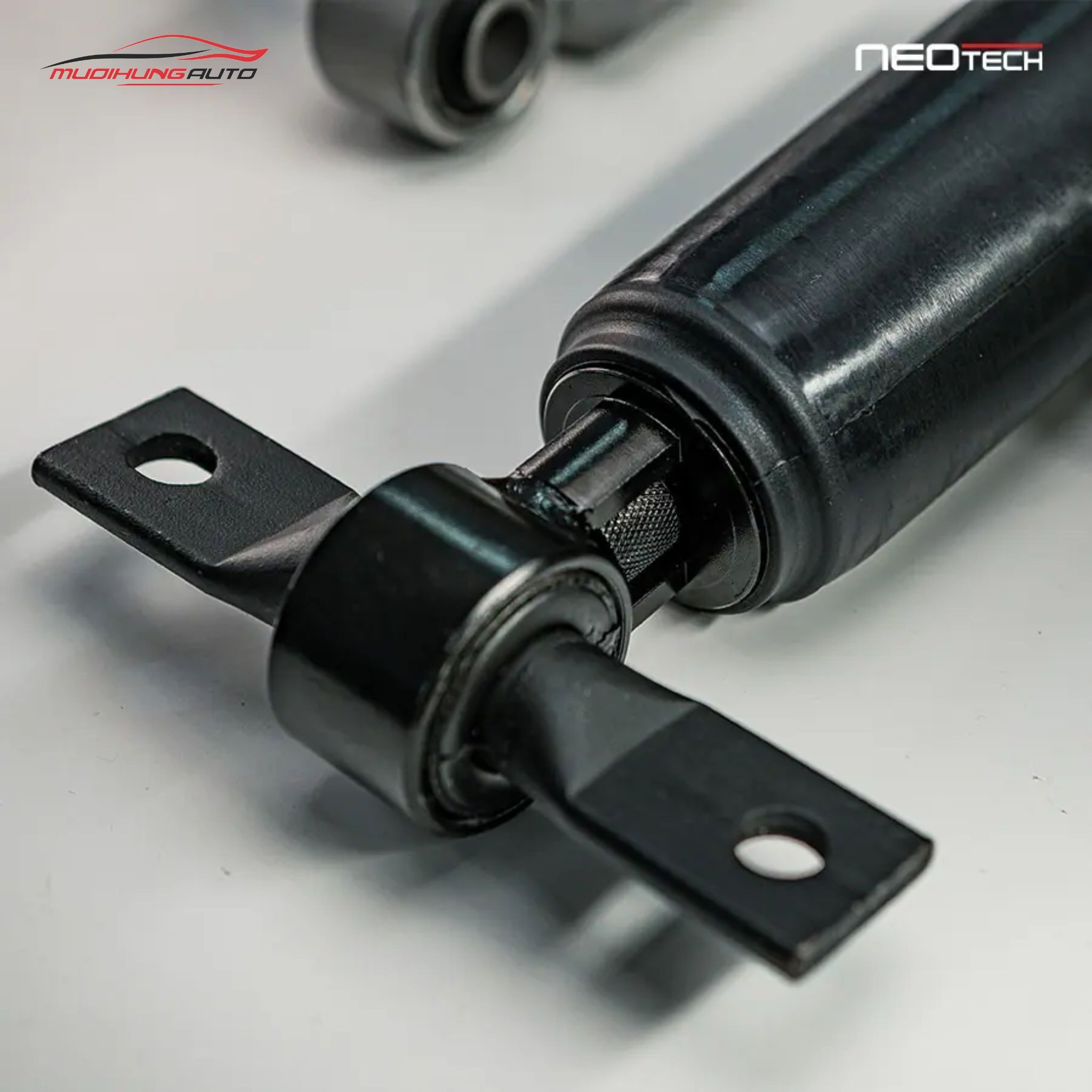 Bộ Phuộc Giảm Xóc Neotech Xe Kia Carnival - Mười Hùng Auto