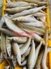cabongducto