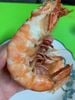 tomsudosize8con