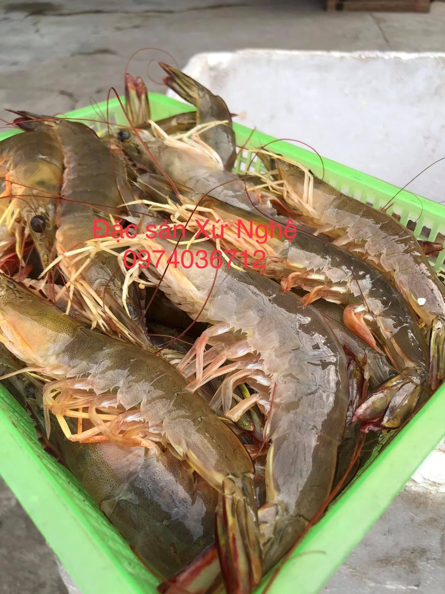 tom he size 10 con kg