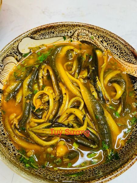 luon chao