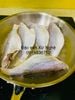 cahongmotnang