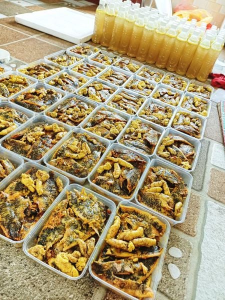 thit ca ro dong rim hop 500g