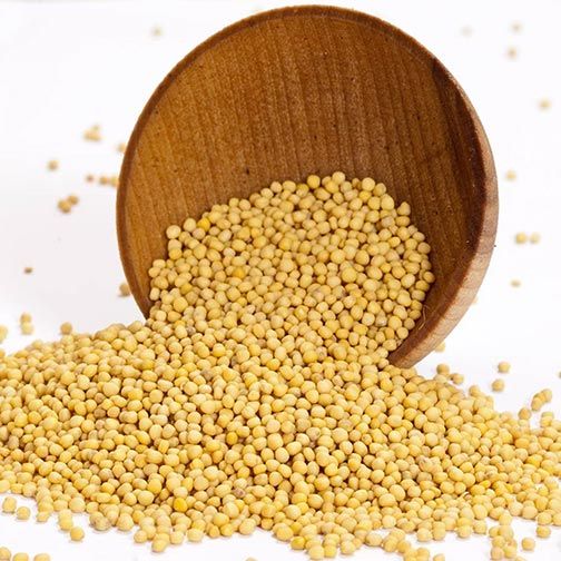 hat-mu-tat-vang-an-do-yellow-mustart-seeds-100gr