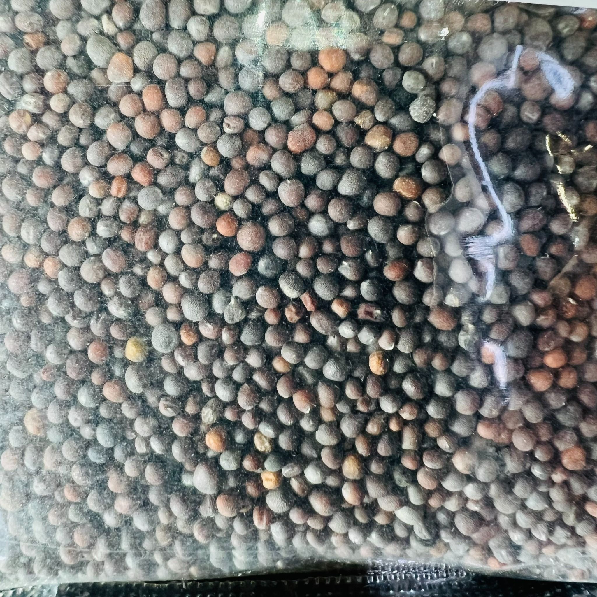 hat-mu-tat-den-an-do-black-mustard-seed-100gr