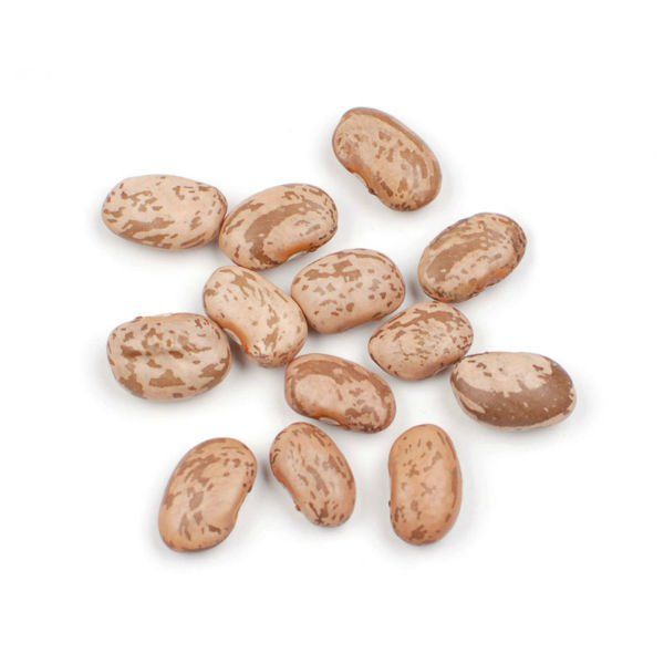 dau-cuc-an-do-singh-pinto-bean-1kg