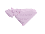  A33_E587: DEAL 5: PHẤN MÁ HỒNG KÈM GƯƠNG FITTING BLUSHES 5G 