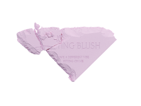  A33_E587: DEAL 5: PHẤN MÁ HỒNG KÈM GƯƠNG FITTING BLUSHES 5G 