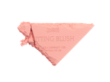  A33_E587: DEAL 5: PHẤN MÁ HỒNG KÈM GƯƠNG FITTING BLUSHES 5G 