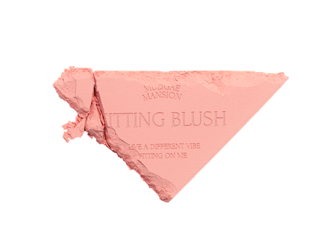  A33_E587: DEAL 5: PHẤN MÁ HỒNG KÈM GƯƠNG FITTING BLUSHES 5G 
