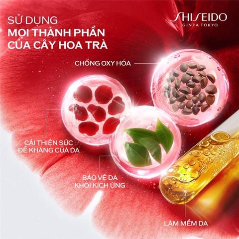  C53: DEAL 1: TINH CHẤT TÁI TẠO VÀ PHỤC HỒI CHO LÀN DA 50ML 