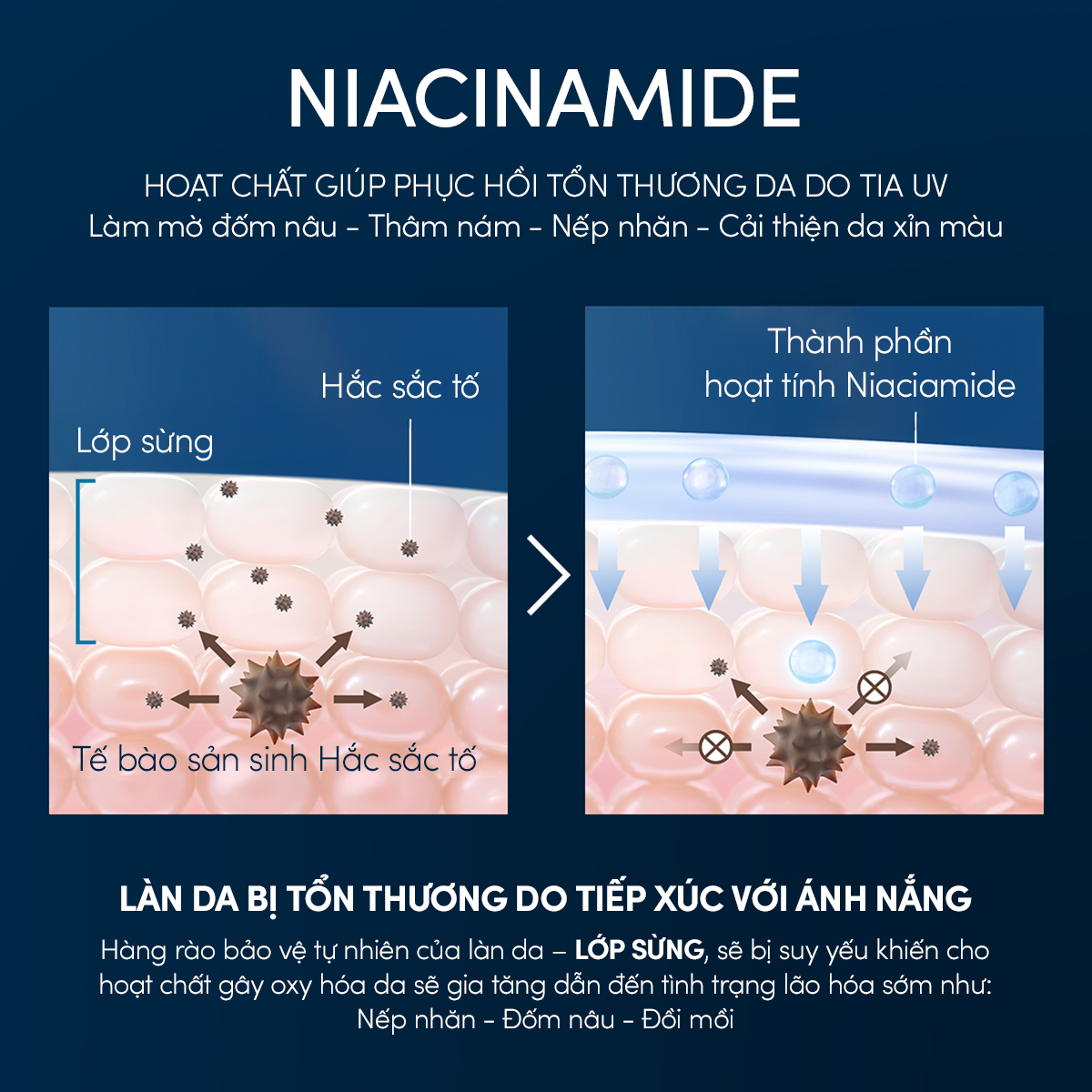  C33: DEAL 9: COMBO SỮA CHỐNG NẮNG & SERUM PHỤC HỒI TỔN THƯƠNG SAU NẮNG AN TOÀN CHO DA NHẠY CẢM ANESSA MILD MILK 60ML + NIGHT SERUM 180ML 