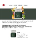  A215_DEAL 4: MUA NẾN LY TRÒN SÁP ĐẬU NÀNH SIZE M MUA 1 TẶNG 1 (CHỌN THÊM MÙI NOTE TRONG GHI CHÚ) 