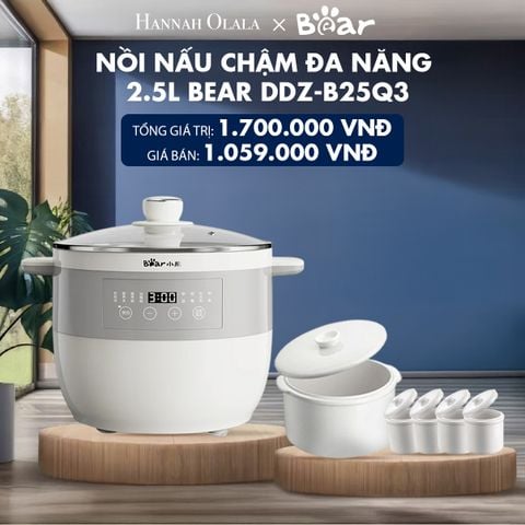  H17_DEAL 7: NỒI NẤU CHẬM ĐA NĂNG BEAR DDZ-B25Q3 