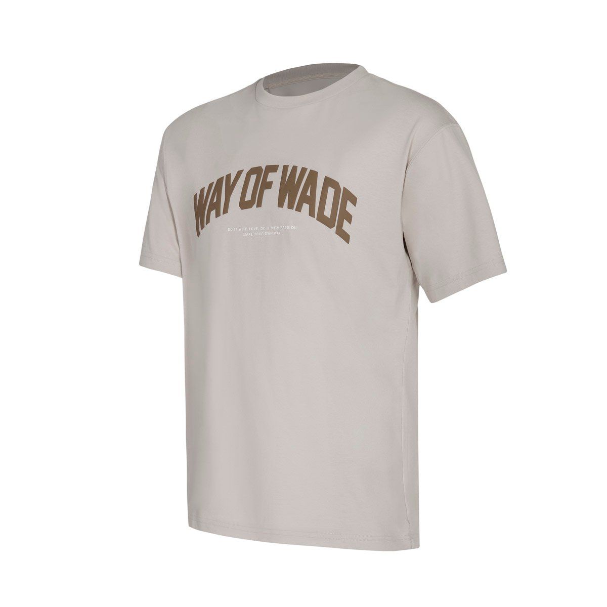 Áo T-shirt Nam AHSU173-6V