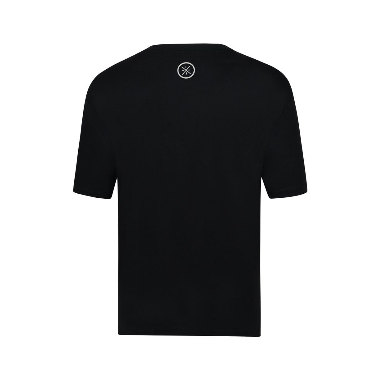 Áo T-shirt Nam AHSV015-1V