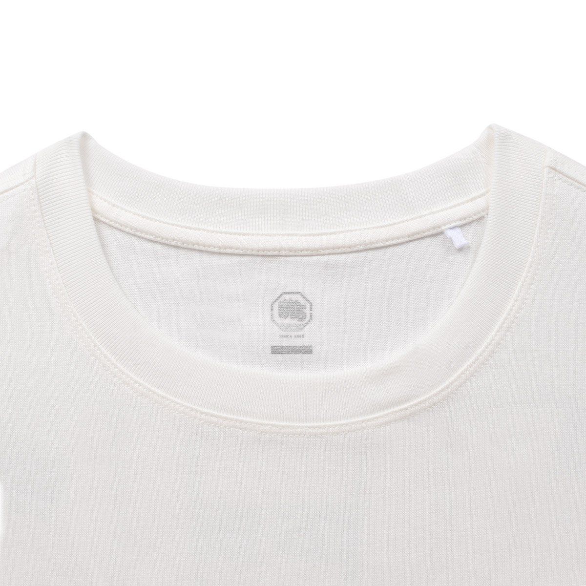 Áo T-shirt Nam AHSV027-4V