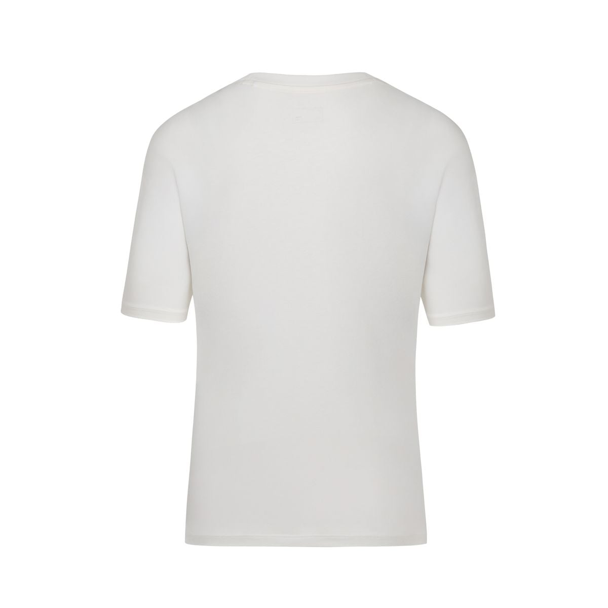 Áo T-shirt Nữ AHSV192-1V