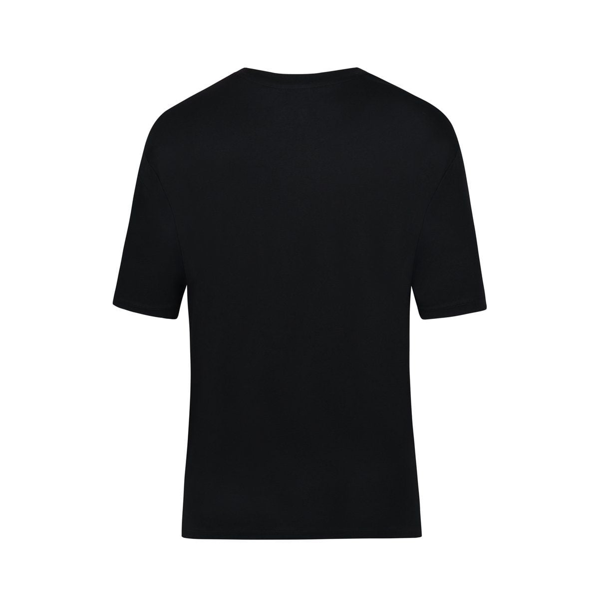Áo T-shirt Nữ AHSV192-3V
