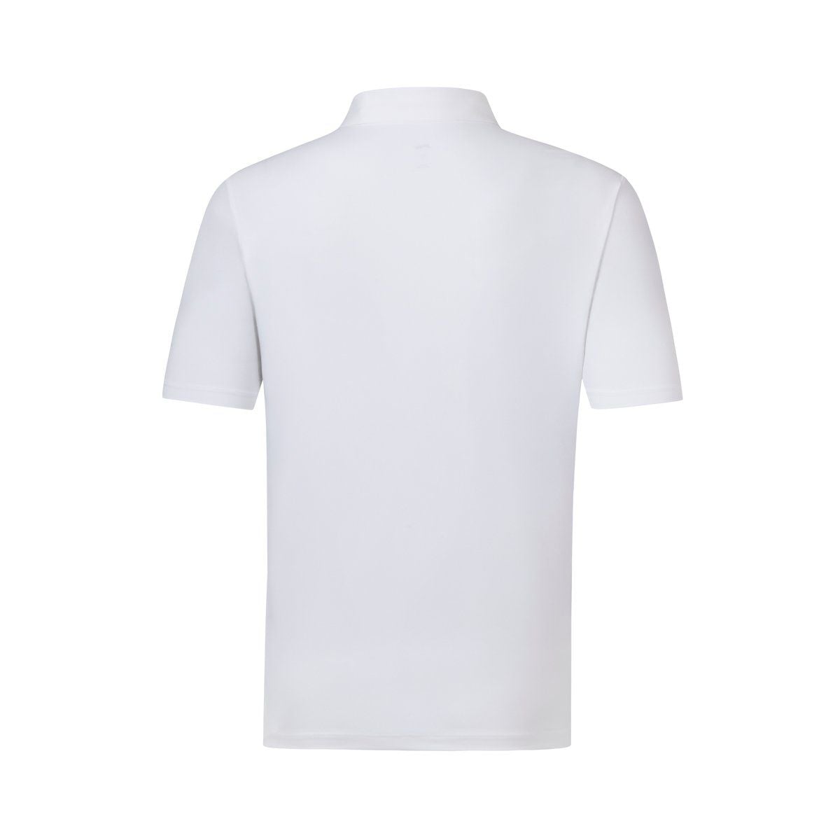 Áo Polo Nam APLV039-10V