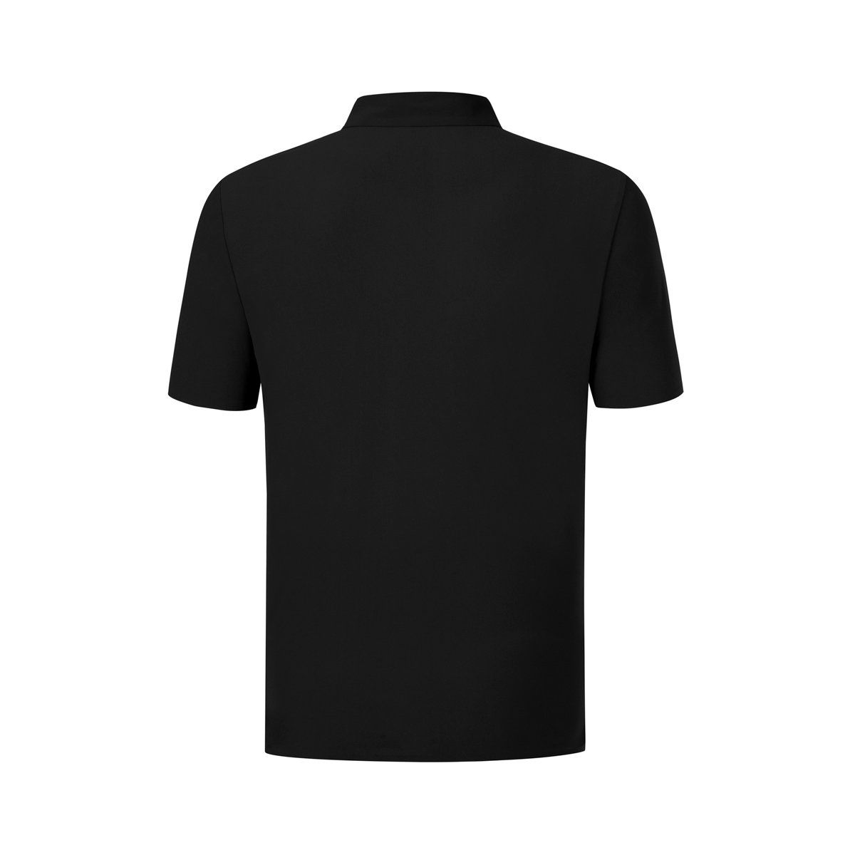 Áo Polo Nam APLV537-6V