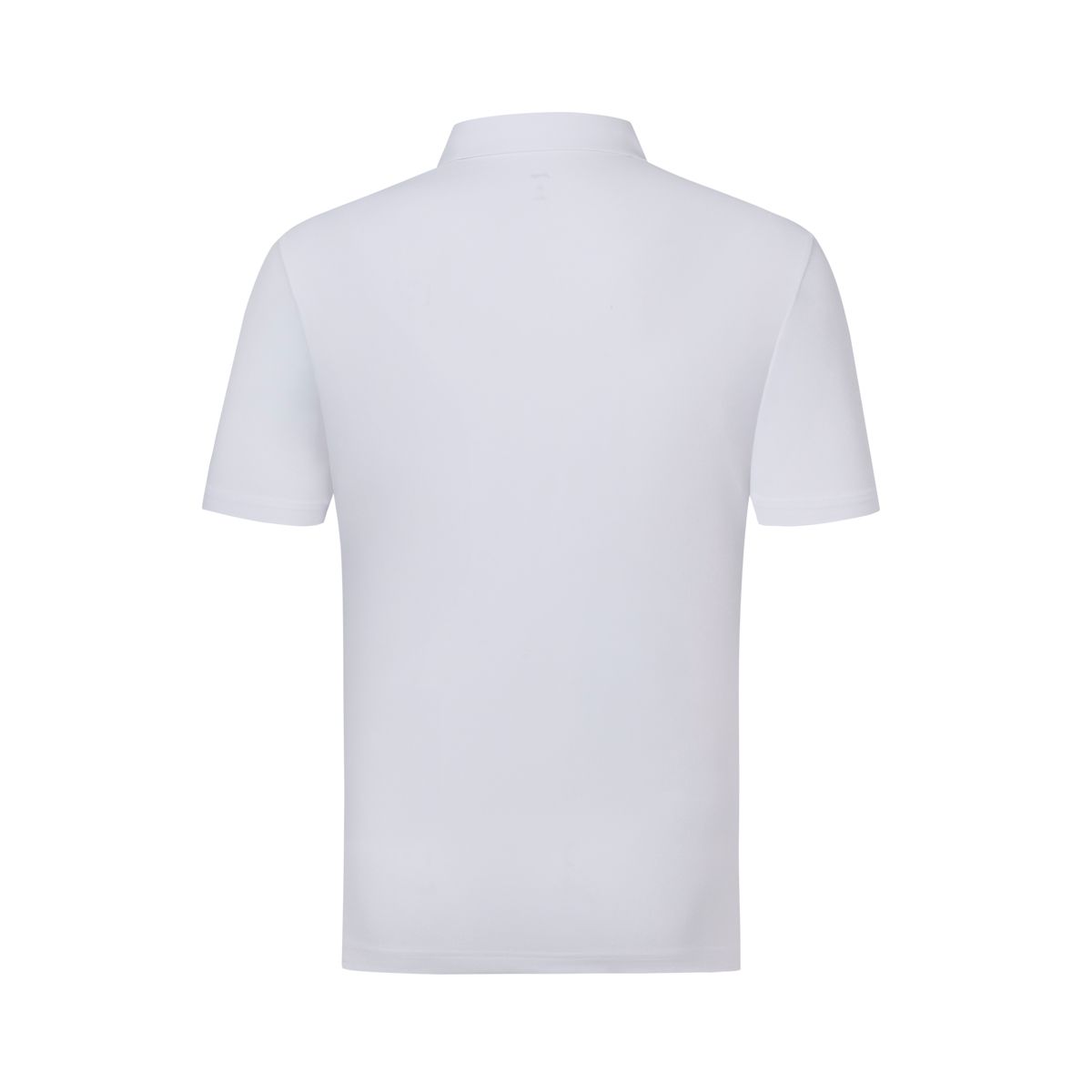 Áo Polo Nam APLV649-1V