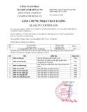  Lò nướng BBQ CSPS 147cm – 03 đầu đốt 