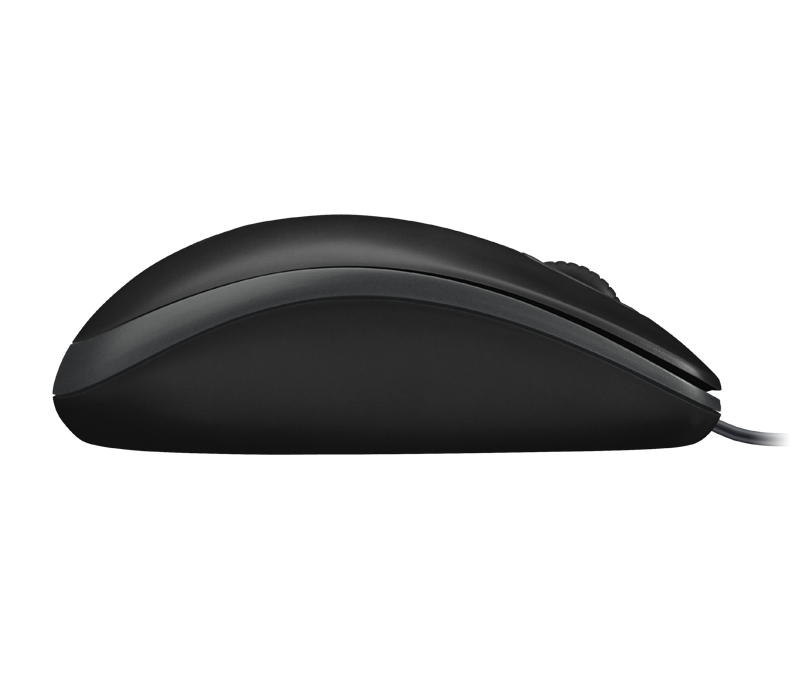 Chuột máy tính Logitech B100