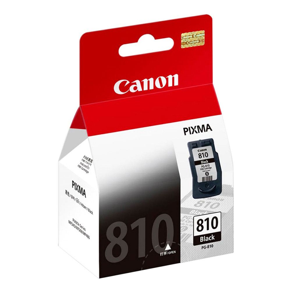 Mực in Canon PG 810