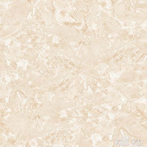 Gạch lát nền 60X60  World Tiles 6317 bóng