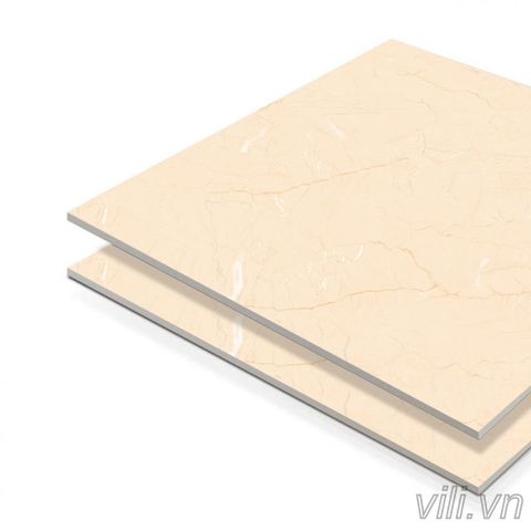 Gạch lát nền 60X60 Hoàn Mỹ 8023