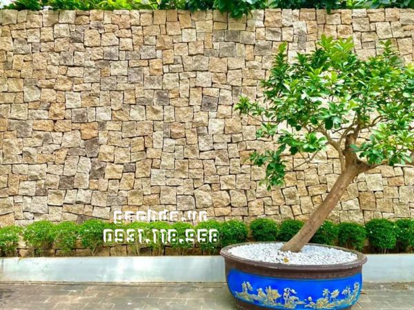 Đá rối Granite vàng Bình Định