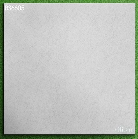 Gạch lát nền 60X60 Viglacera BS6605