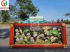 TRANH ĐỒNG CẢNH CÒ VÀ SEN