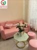 BÀN GHẾ SOFA BĂNG ĐỆM NHUNG KHUNG GỖ SỒI