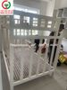 GIƯỜNG TẦNG GỖ