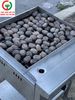 BẾP NƯỚNG ĐÁ INOX 304